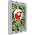 Miniatyrbild 1 av 11: Inramad Poster / Tavla - Parrot Says Hi