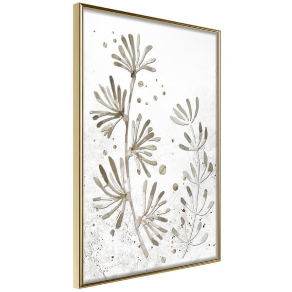 Inramad Poster / Tavla - Dried Plants