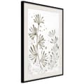 Miniatyrbild 4 av 11: Inramad Poster / Tavla - Dried Plants