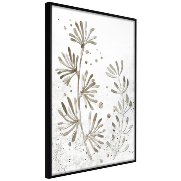 Inramad Poster / Tavla - Dried Plants