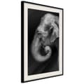 Miniatyrbild 4 av 11: Inramad Poster / Tavla - Wisdom