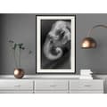 Miniatyrbild 6 av 11: Inramad Poster / Tavla - Wisdom