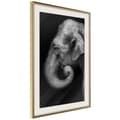 Miniatyrbild 9 av 11: Inramad Poster / Tavla - Wisdom