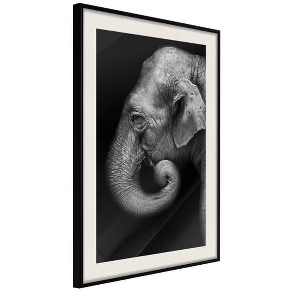 Inramad Poster / Tavla - Wisdom Svart ram med passepartout 40x60