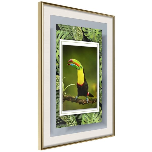 Inramad Poster / Tavla - Toucan in the Frame Guldram med passepartout 30x45