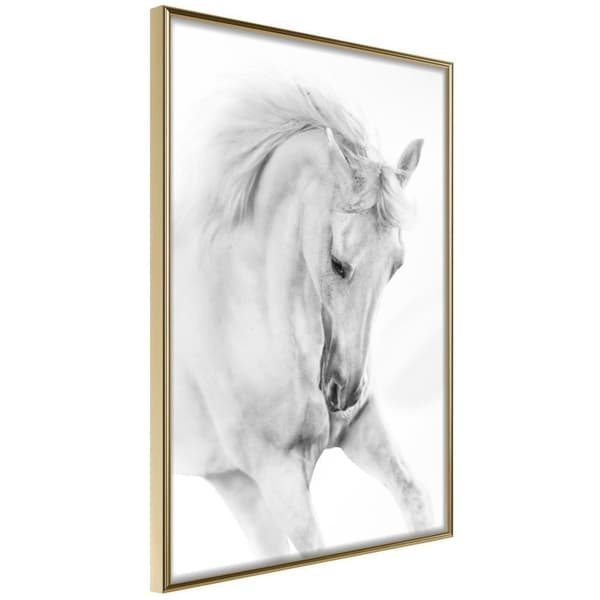 Inramad Poster / Tavla - Beauty in Motion