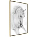 Miniatyrbild 1 av 11: Inramad Poster / Tavla - Beauty in Motion