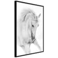 Miniatyrbild 1 av 11: Inramad Poster / Tavla - Beauty in Motion