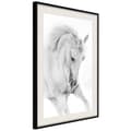 Miniatyrbild 4 av 11: Inramad Poster / Tavla - Beauty in Motion