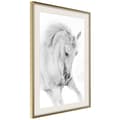 Miniatyrbild 9 av 11: Inramad Poster / Tavla - Beauty in Motion
