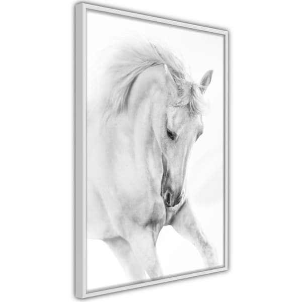 Inramad Poster / Tavla - Beauty in Motion Vit ram 40x60