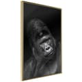 Miniatyrbild 1 av 11: Inramad Poster / Tavla - Intelligent Gaze