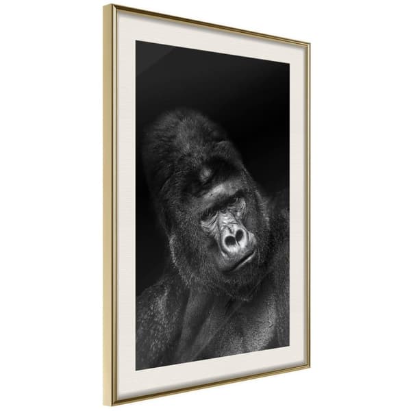 Inramad Poster / Tavla - Intelligent Gaze Guldram med passepartout 30x45