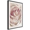 Miniatyrbild 4 av 11: Inramad Poster / Tavla - Rose with a Message