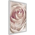 Miniatyrbild 8 av 11: Inramad Poster / Tavla - Rose with a Message