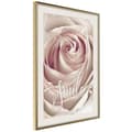 Miniatyrbild 9 av 11: Inramad Poster / Tavla - Rose with a Message
