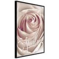 Miniatyrbild 1 av 11: Inramad Poster / Tavla - Rose with a Message