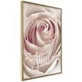 Miniatyrbild 1 av 11: Inramad Poster / Tavla - Rose with a Message