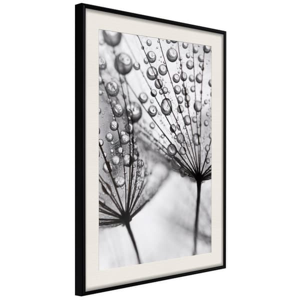 Inramad Poster / Tavla - Dew in the Macro Scale