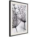 Miniatyrbild 4 av 11: Inramad Poster / Tavla - Dew in the Macro Scale