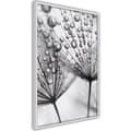 Miniatyrbild 8 av 11: Inramad Poster / Tavla - Dew in the Macro Scale