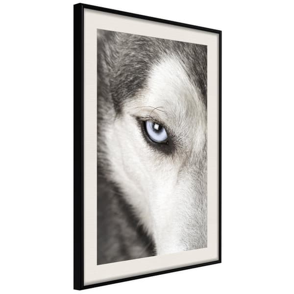 Inramad Poster / Tavla - Azure Eye