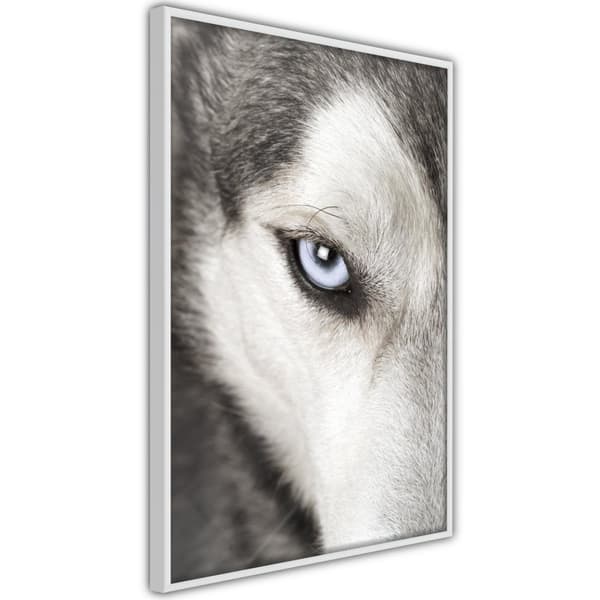 Inramad Poster / Tavla - Azure Eye