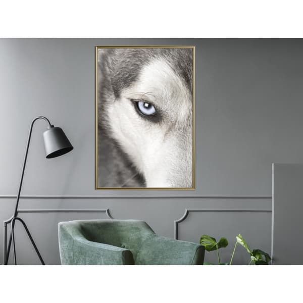Inramad Poster / Tavla - Azure Eye
