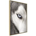 Miniatyrbild 1 av 11: Inramad Poster / Tavla - Azure Eye
