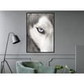 Miniatyrbild 2 av 11: Inramad Poster / Tavla - Azure Eye