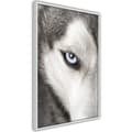 Miniatyrbild 1 av 11: Inramad Poster / Tavla - Azure Eye