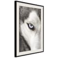 Miniatyrbild 4 av 11: Inramad Poster / Tavla - Azure Eye