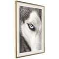 Miniatyrbild 9 av 11: Inramad Poster / Tavla - Azure Eye