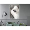 Miniatyrbild 10 av 11: Inramad Poster / Tavla - Azure Eye