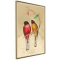 Miniatyrbild 1 av 11: Inramad Poster / Tavla - Ornithologist's Drawings