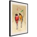Miniatyrbild 4 av 11: Inramad Poster / Tavla - Ornithologist's Drawings