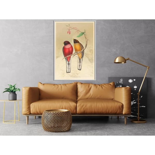 Inramad Poster / Tavla - Ornithologist's Drawings
