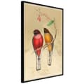 Miniatyrbild 1 av 11: Inramad Poster / Tavla - Ornithologist's Drawings
