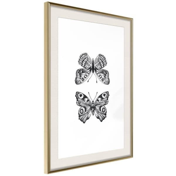 Inramad Poster / Tavla - Butterfly Collection I