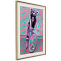 Miniatyrbild 9 av 11: Inramad Poster / Tavla - Extraordinary Cyclist