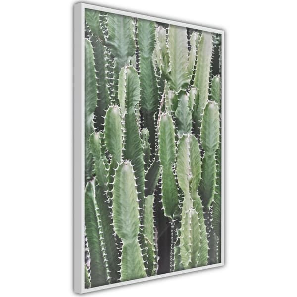Inramad Poster / Tavla - Cactus Plantation