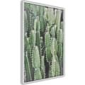 Miniatyrbild 8 av 11: Inramad Poster / Tavla - Cactus Plantation