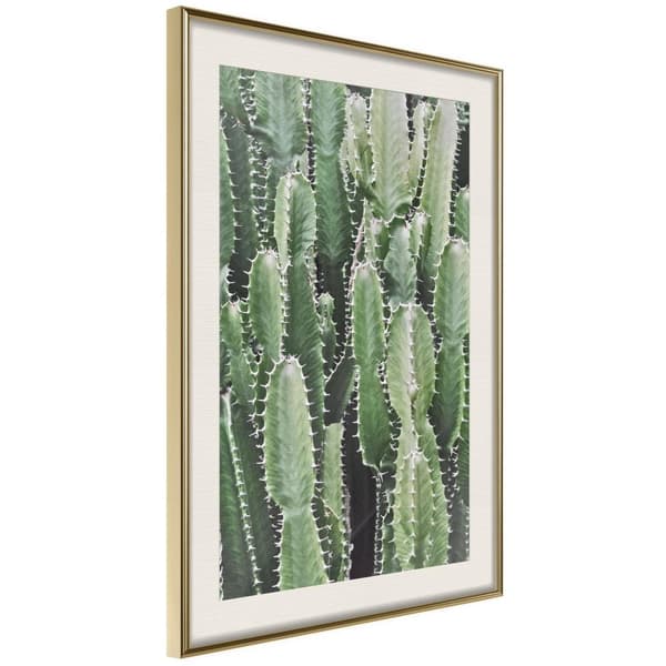 Inramad Poster / Tavla - Cactus Plantation