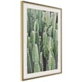 Miniatyrbild 9 av 11: Inramad Poster / Tavla - Cactus Plantation