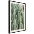 Miniatyrbild 1 av 11: Inramad Poster / Tavla - Cactus Plantation