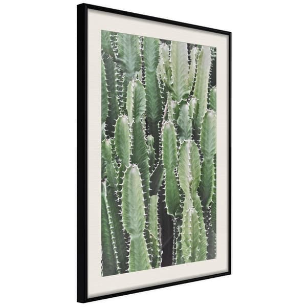 Inramad Poster / Tavla - Cactus Plantation Svart ram med passepartout 30x45