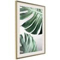 Miniatyrbild 9 av 11: Inramad Poster / Tavla - Leaves Like Swiss Cheese