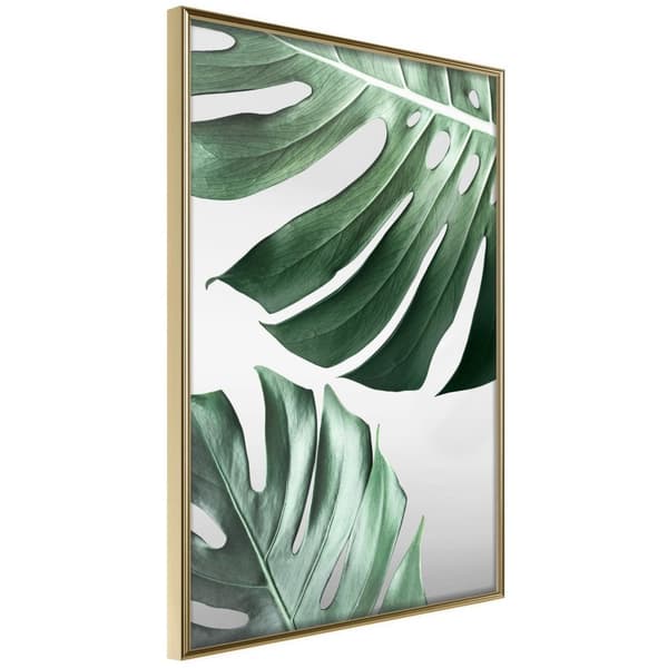 Inramad Poster / Tavla - Leaves Like Swiss Cheese