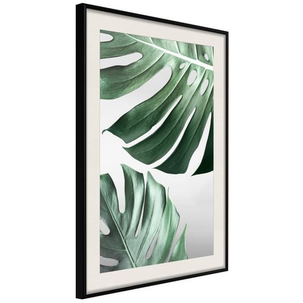 Inramad Poster / Tavla - Leaves Like Swiss Cheese