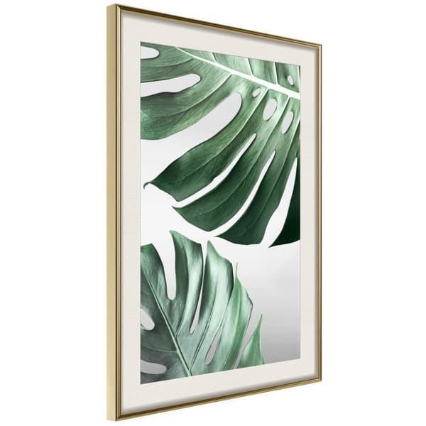 Inramad Poster / Tavla - Leaves Like Swiss Cheese